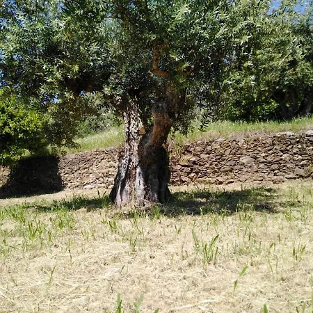 Mouligno Διαμέρισμα *